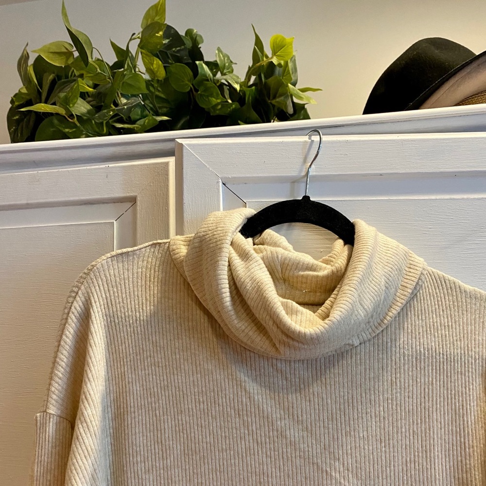 Time and Tru Sweater Dress